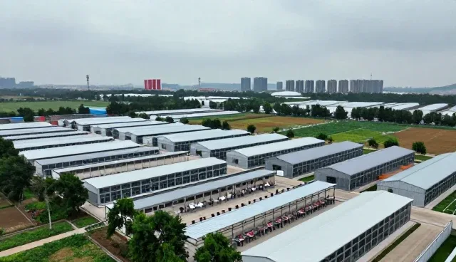 上海勇彦安信息科技有限公司打造值得信赖的软件研发